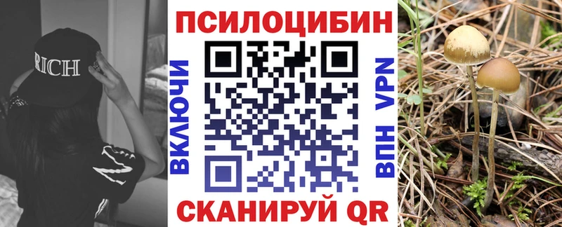 Галлюциногенные грибы мухоморы  что такое наркотик  Новая Ляля 
